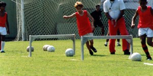 zico08